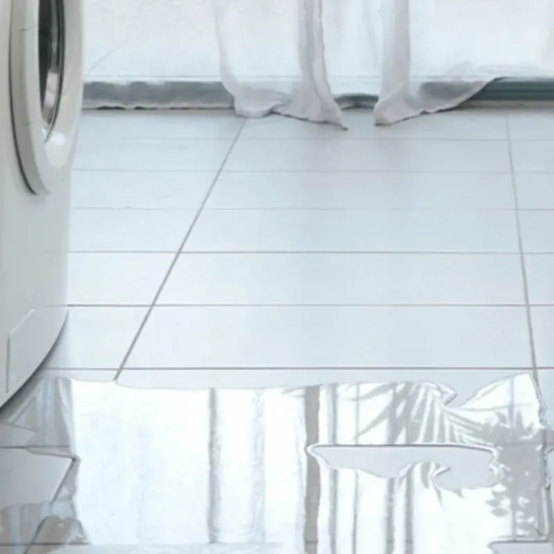 Appliance Leak Cleanup in High Point, FL