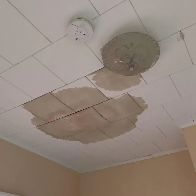 Ceiling Water Damage Repair in High Point, FL